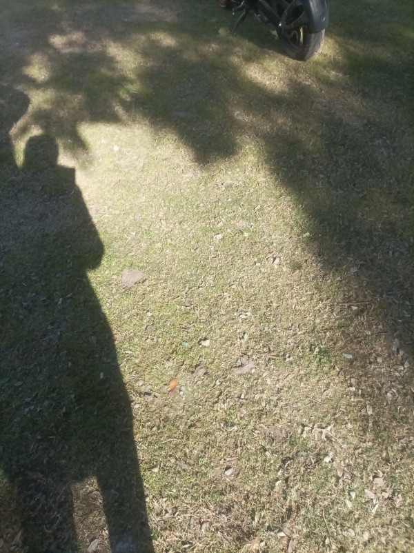 MotoRepuestos - IMG_20240707_113625.jpg